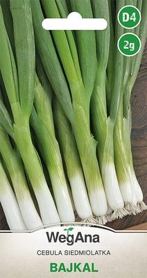 Baikal Seven-year Onion 2g Onion Seeds -