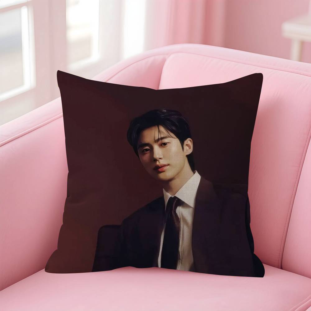 Korean Celebrity Byeon Wooseok  Pillow Gift Home Office Decoration Bedroom Sofa Car Cushion Cover case 45x45