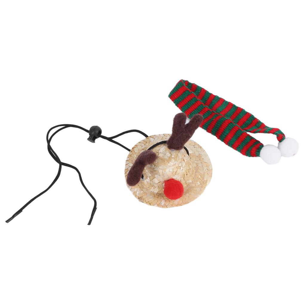 Bearded Dragon Santa Hat Cute Soft Scarf Adjustable Size Bright Colors Lizard Santa Hat with Scarf