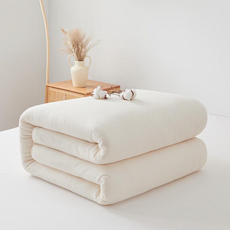 Xinjiang Cotton Four Seasons Comforter