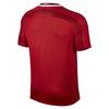 Nike Soccer Jerseys Men's Red Moderate 849160-648