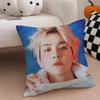 Classic Korean Handsome Singer BByun Baekhyun Cushion Cover Throw Pillow Cover Hidden Button Durable Polyester Chair Cushion
