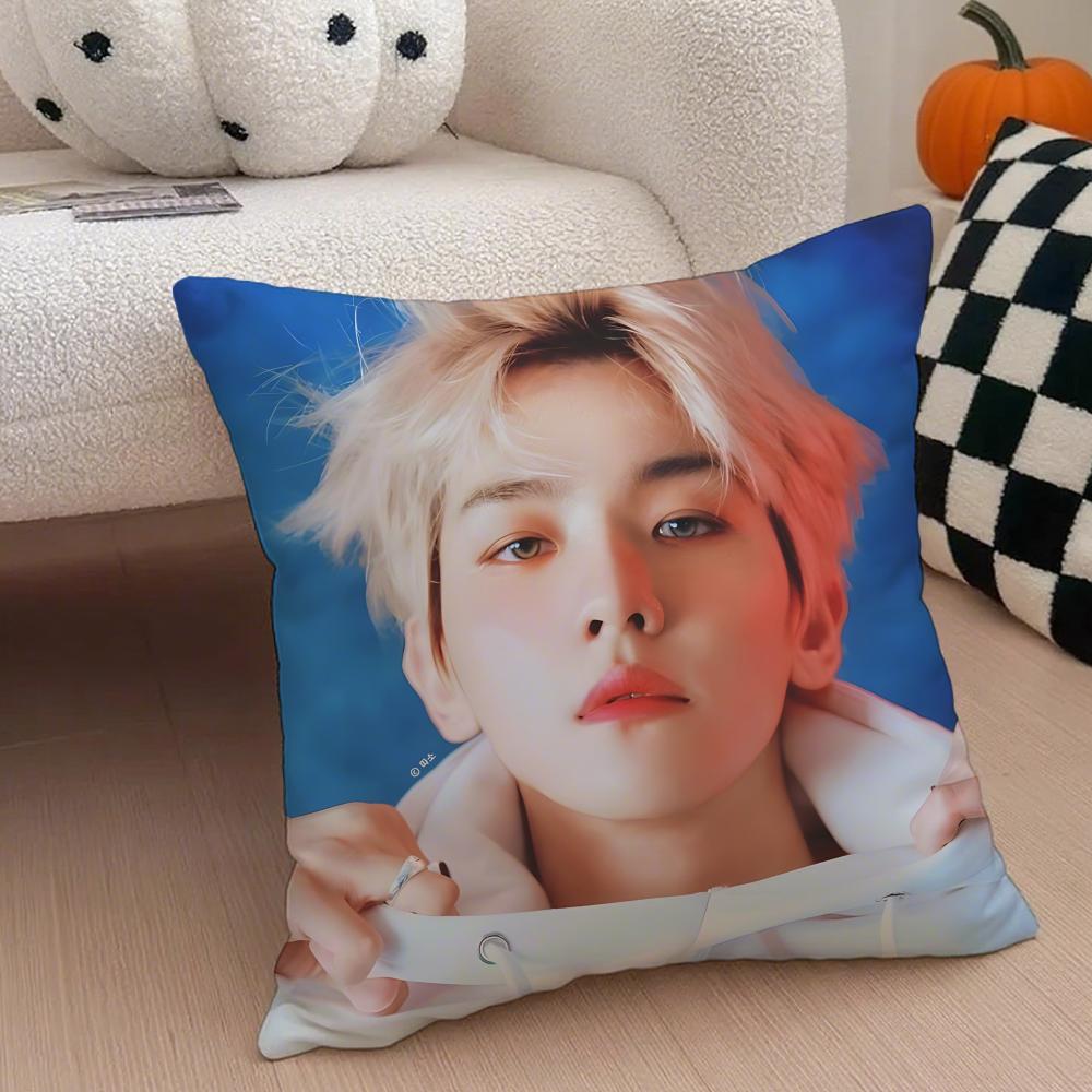 Classic Korean Handsome Singer BByun Baekhyun Cushion Cover Throw Pillow Cover Hidden Button Durable Polyester Chair Cushion