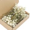 Set aus 50 getrockneten Schleierkraut-Bündeln, ewige Blumenstiele für Vasenarrangements, Dekoration, Tischmittelstücke 55KF