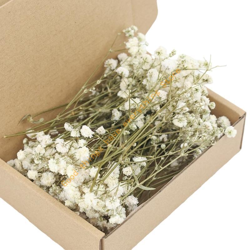 Set aus 50 getrockneten Schleierkraut-Bündeln, ewige Blumenstiele für Vasenarrangements, Dekoration, Tischmittelstücke 55KF