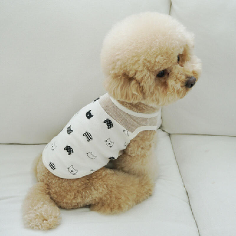 Cat Pattern Homewear _ Dog Clothes S