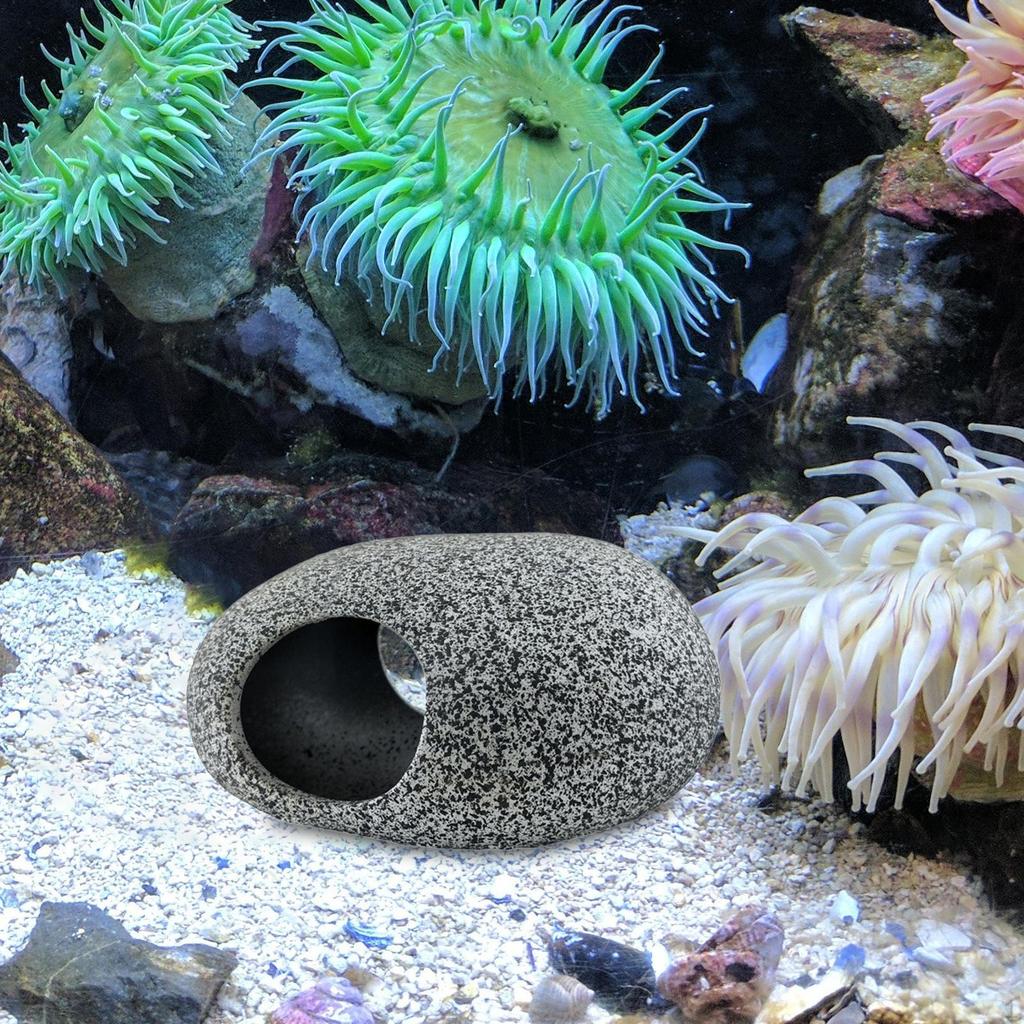 Aquarium Accessory with Two Openings for Habitat Simulation in Purple Sand