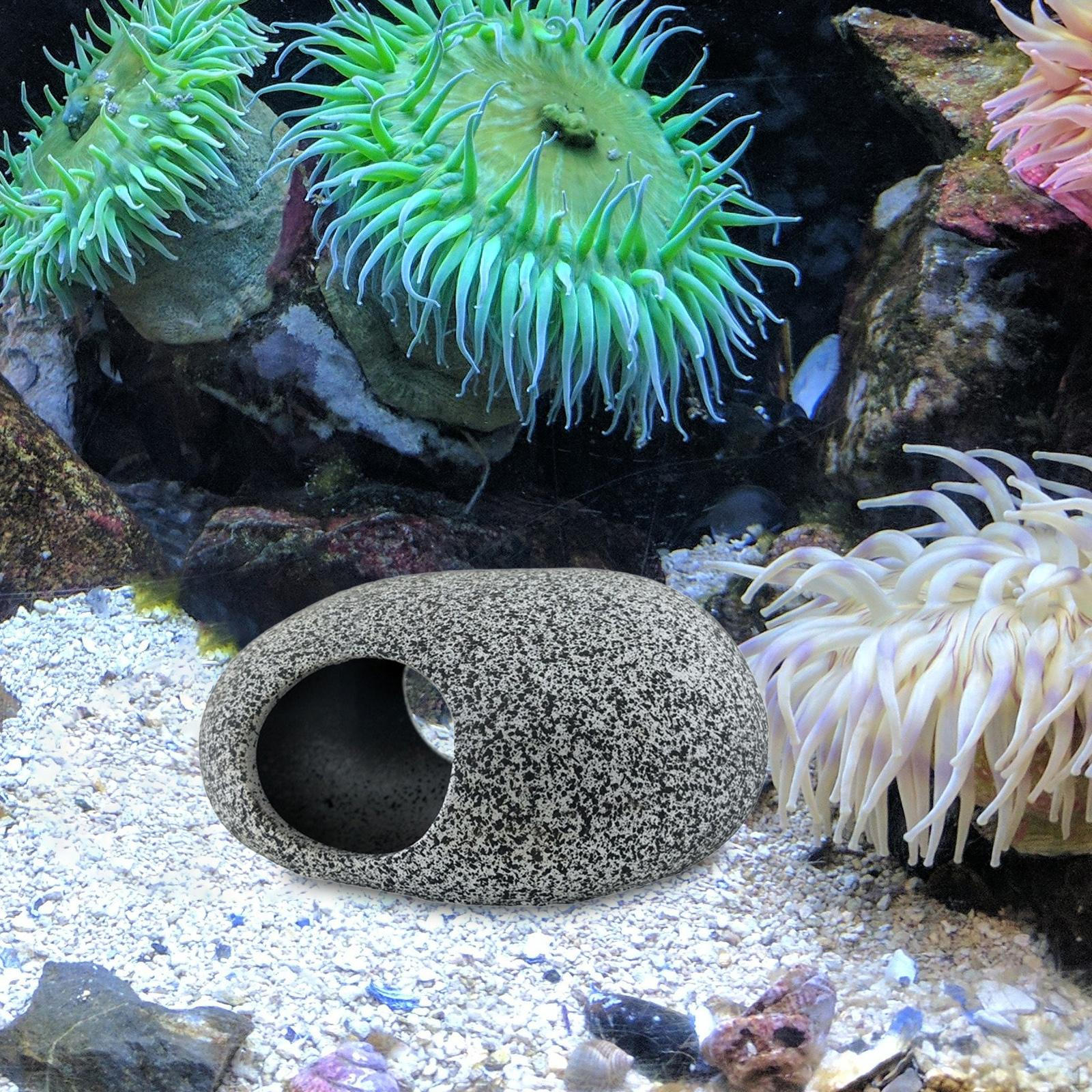 

Аксессуар для аквариума с двумя отверстиями для имитации среды обитания в фиолетовом песке 11 cmx8 cmx5.5 cm