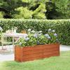 Raised Garden Bed Rusty 160x40x45 Cm Corten Steel