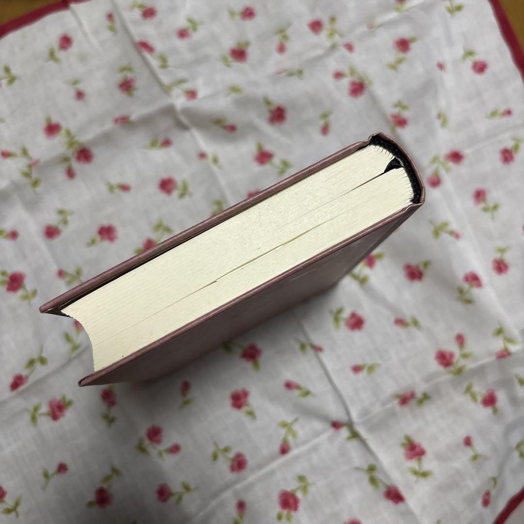 [GEBRAUCHT] Zaubersprüche Zauberbuch Tagebuch Notizbuch Harry Potter