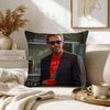TV Show Hhouse Pillow Case for Sofa Living Room Home Office Decor Protective Cover