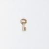 Less Is More 14K Gold Key Earring & Piercing