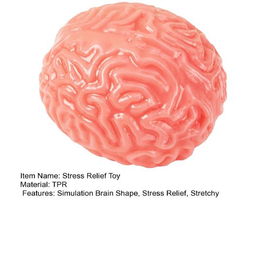 Simulations Gehirn Quetschspielzeug Angstlinderung Gehirn Sensorisches Spielzeug Dekompression Stressball Realistisches Gehirn Fidget Spielzeug Geschenk für Büroangestellte