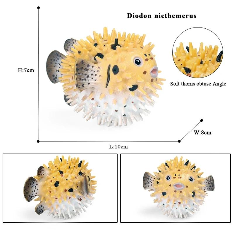 Oenux Animali Marini Modello Action Figures Pesci Oceanici Pesce Vela Persico Cernia Salmone Figurine per Acquario Giocattolo Educativo in PVC per Bambini