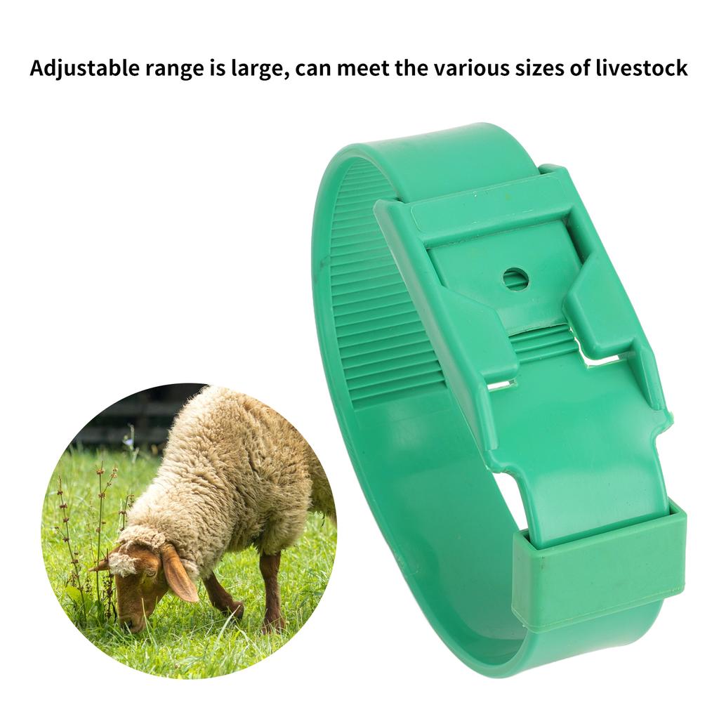 10Pcs Goat Collar Sheep Identification Bands Livestock ing Farming Equipment