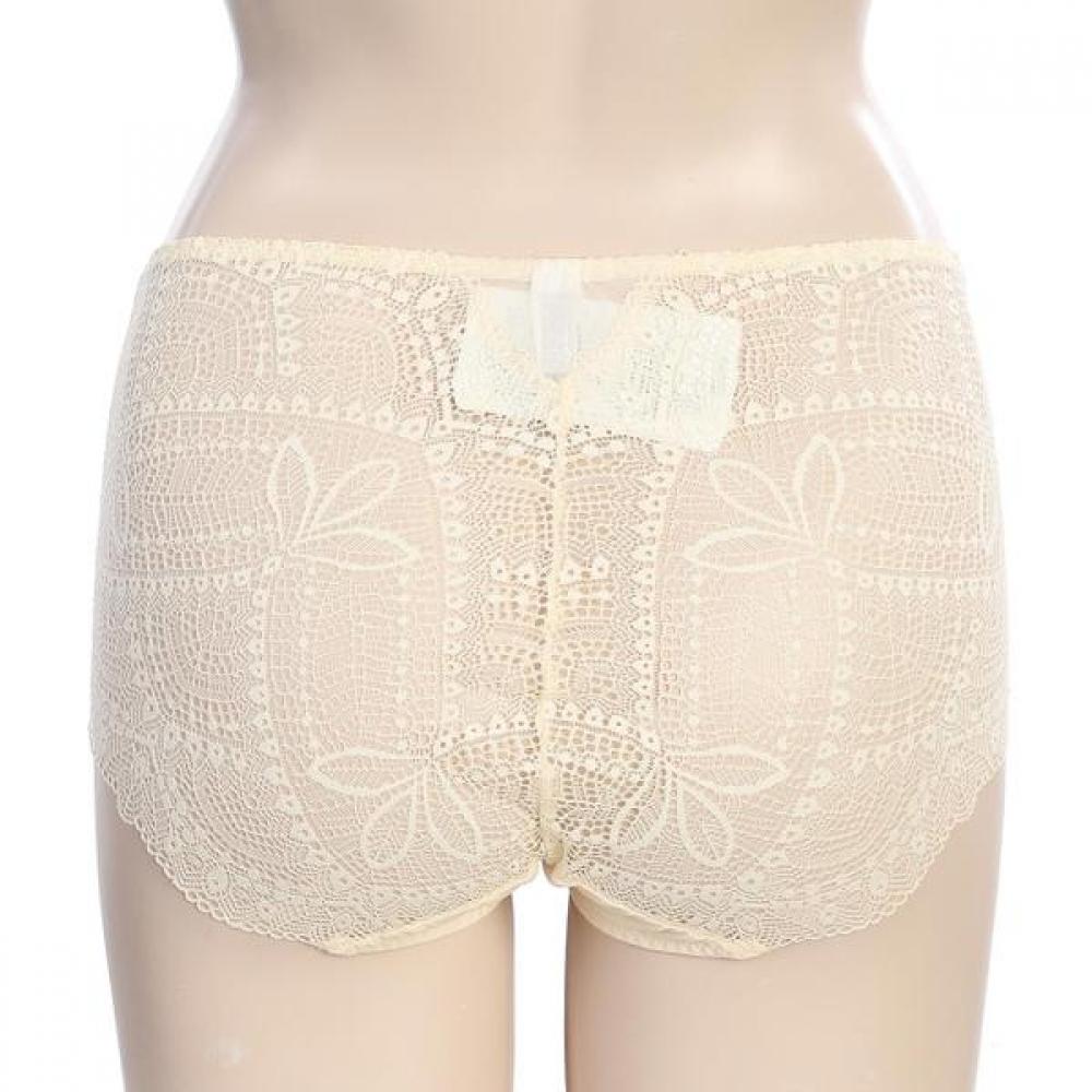 BARBARA Lace Briefs 2color Abp4457