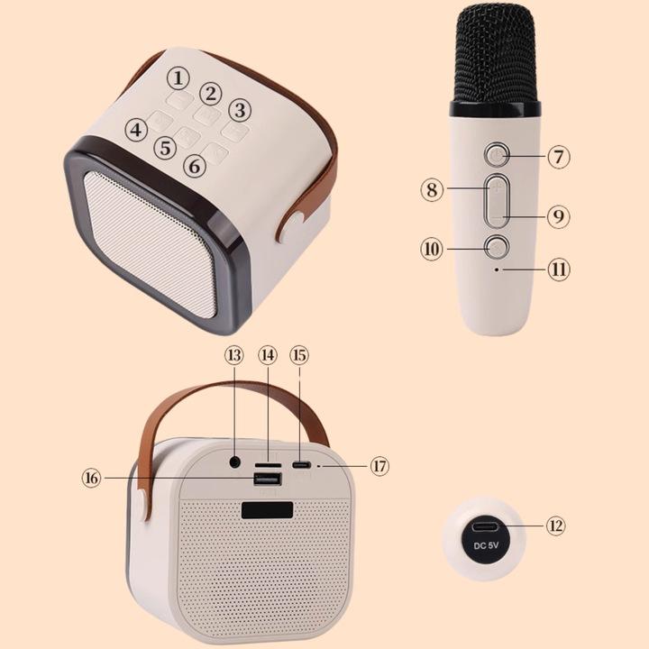 Bezprzewodowy Zestaw Do Karaoke Dla Dzieci Bluetooth Głośnik + 2 Mikrofony