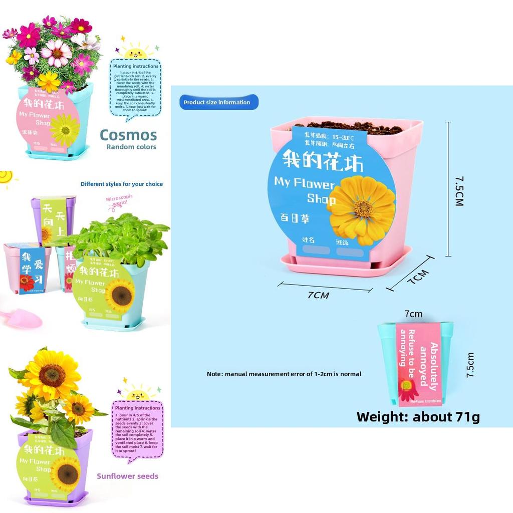 Science Experiment Diy Desktop Potted Plant Kit With Germination Seeds For Kids And Office Decor