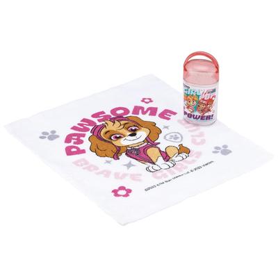Antibacterial Wet Wet Set with Case Wet Wet Paw Patrol Girl Made In Japan 32 X Cm 30.5 OA5AG-A