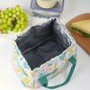 Insulated Lunch Bag Large Capacity Portable Office Beach Picnic Storage Bag Leak-proof Leaf Print Thermal Cooler Pouch Drawstring Handbag