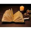 Grimoire Vintage Mushroom leather journal, Handmade Antique Deckle Edge Paper Spell Book of Shadows Journal for gifts