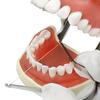 Dental Floss Holder Stainless Steel  Reusable Floss Clip Teeth Cleaning Tool Oral Care