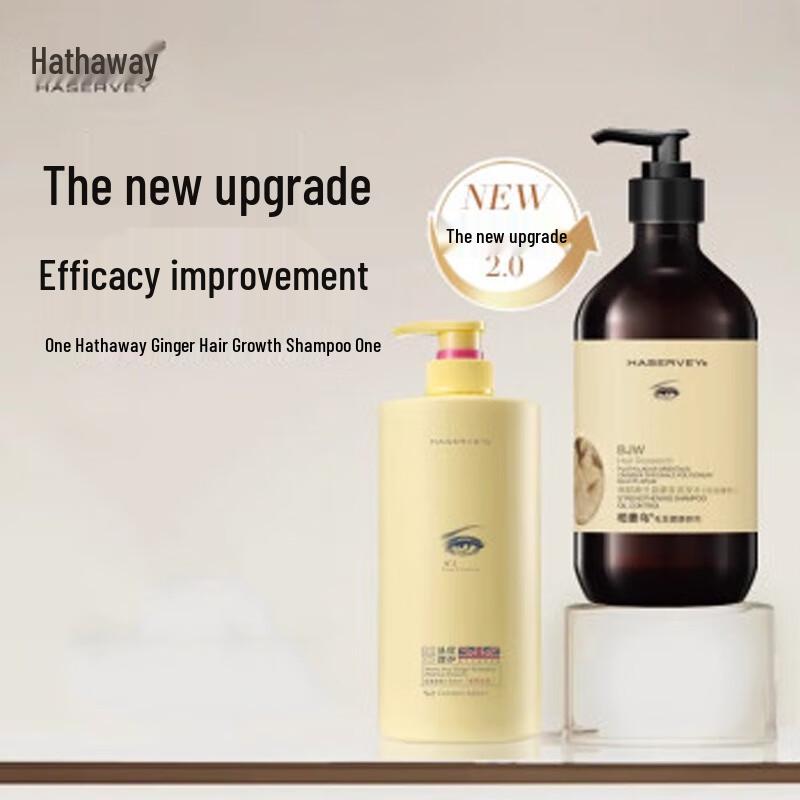 Hathaway D Ginger Anti-Dandruff & Oil Control Shampoo Set