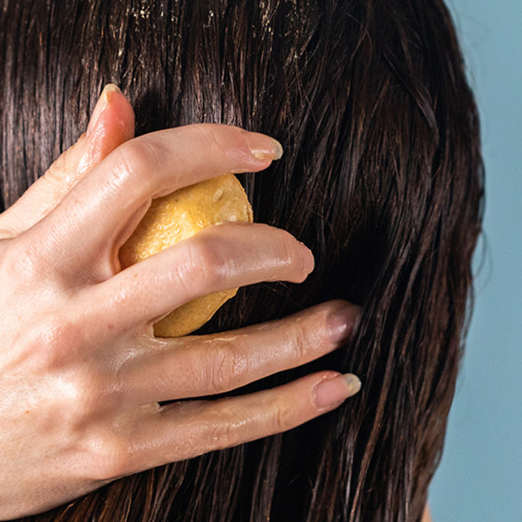 [Lush] The Golden Cap 65g - Pressed Conditioner Bar/ Solid Hair Conditioner