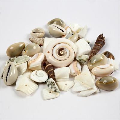 Seashells - Creative - Beach Mix - Size 9-40 Mm - 120 G - Various Colors
