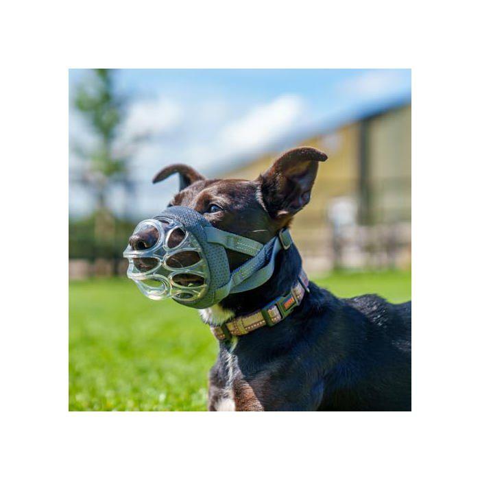 Muselière - Baskerville - INVISA - Taille 1 - Matelassée - Réglable - Anti-morsure