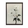White Elegance - Minimalist Floral Poster White Elegance - Minimalist Floral Poster, 40X50 Cm, Frameless, Matte Paper 230 Gsm