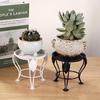 European Style Wrought Iron Mini Tripod Plant Stand for Indoor Succulent or Flower Pots, Suitable for Office Desks, Living Rooms, and Balconies.