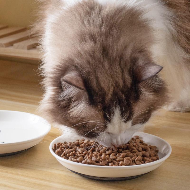 Ceramic Cat Plates With Silicone Anti Slip Pad Pet Cat Snack Bowl Cute Kitten Food Bowl Pet Kitten Water Bowl Pet Supplies