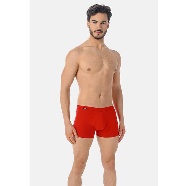 Боксеры Teyli Levi