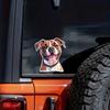 Adesivo per Auto Amante Cane Boxer Tedesco Decalcomania in Vinile Impermeabile Finestrino Posteriore Moto Camper Paraurti Camion Decorazione Laptop Y18