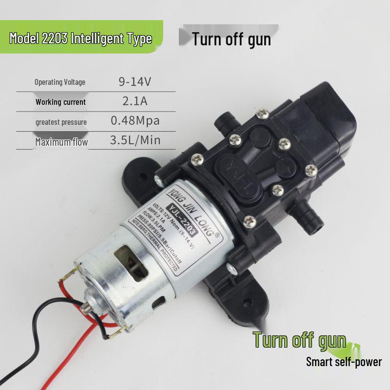 Pompa per Spruzzatore Elettrico con Motore in Rame da 12V: Pompa a membrana autoadescante, Modelli 2203/4200/5500.