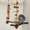 Vogelspielzeug Papagei Kauspielzeug Vogelkäfig Reißspielzeug Kleiner Mittlerer Vogelkäfig Kiefernzapfen Vogelstange für Conure Nymphensittiche