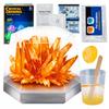 [PACK] Crystal Growing Educational Kit for Little Scientists Z3294