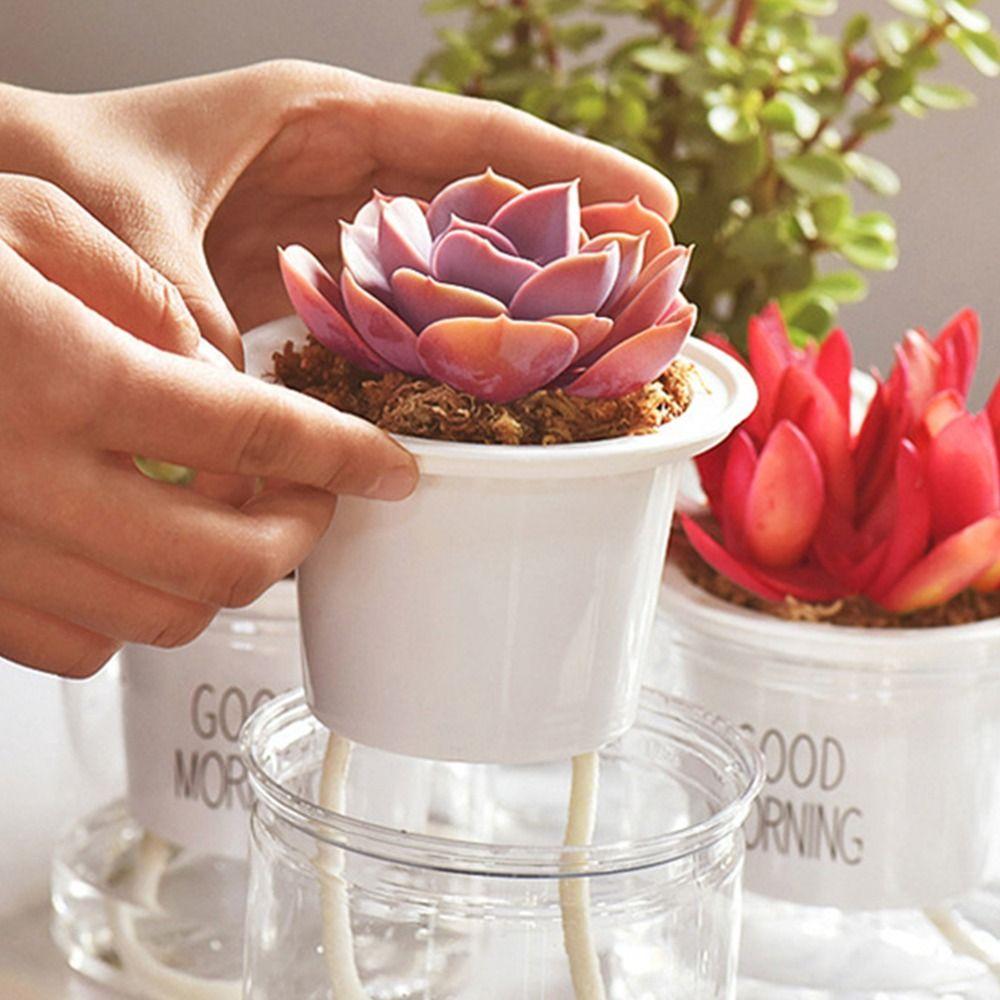 Drip Irrigation Hydroponic Self Wick 4/5/6/8mm Watering Wick Cord Absorbent Cotton Rope  for Plants