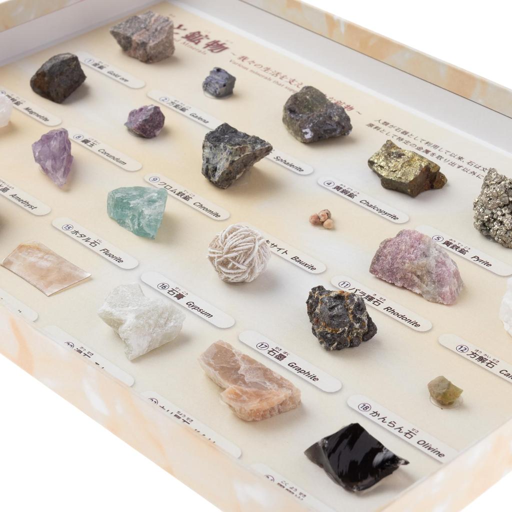 Oherikosha Specimen Humans and Minerals Book-type Set