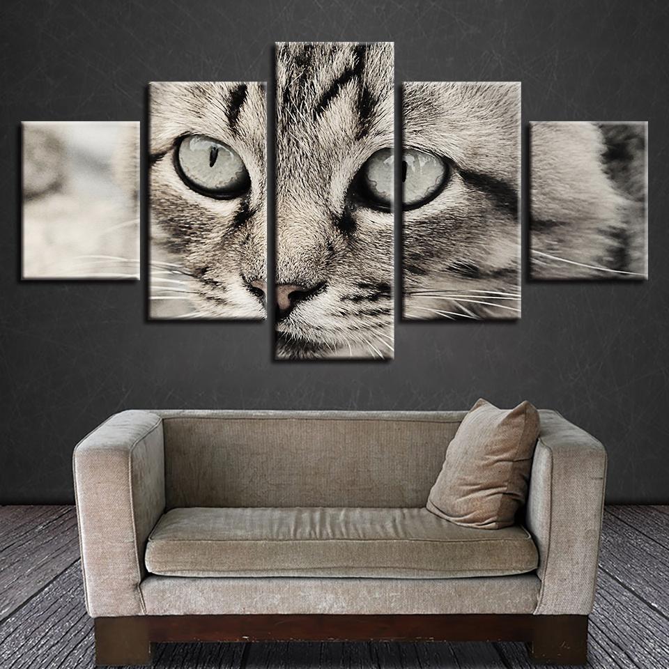Cat's Big Eyes 5pcs Modern Home Wall Decor CanvasPicture Art HD Print Painting On Canvas for Living Room No Framed