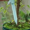 3pcs Drip Waterer Watering Device Household Timer Waterer Drip Irrigation Travel Water Seepage Sprinkler Automatic Watering Home
