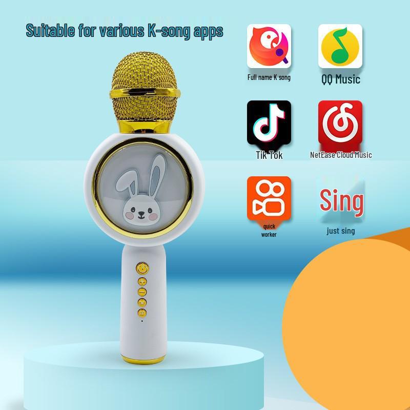 All-in-One Wireless Karaoke Bluetooth Speaker & Microphone for Children's Home Use