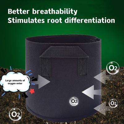 Garden Grow Bag with Handles, Flower, Vegetable, Aeration Planting Pot, Container, Planter Pouch with Handles, PE Felt 2025
