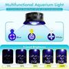 Vissen en zeedieren – Aquariumverlichting