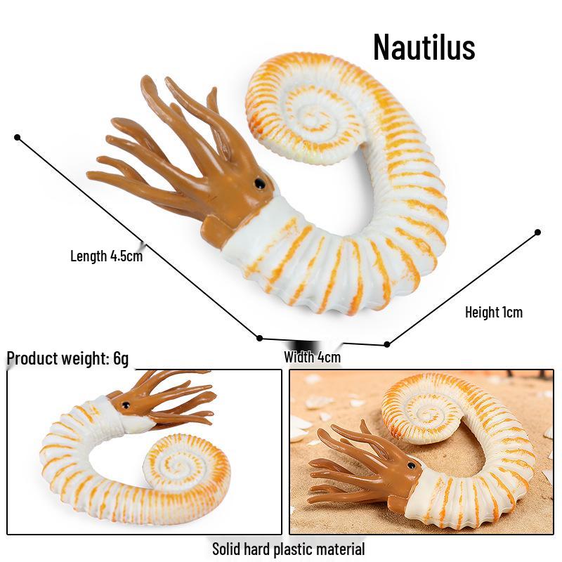 Marine Animal Simulation Models: Jellyfish, Octopus, Sea Shrimp, Sea Anemone, Squid, Horseshoe Crab, Crayfish, Arrowhead