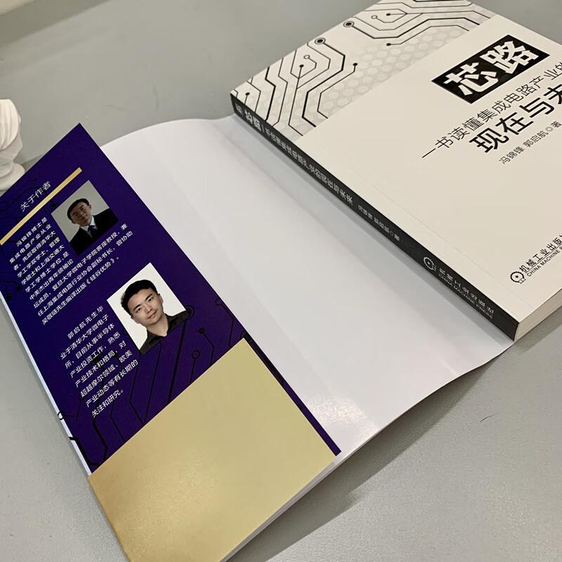 Core Mirror: Exploring the Breakthrough Path of China's Semiconductor Industry