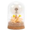 Real Dandelion Eternal Flower Natural Elegant Preserved Flower In Glass Dome for Bedroom Living Room Office