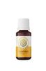 House Of Aroma Champaka Scented Fragrance Oil for Relax Calm Mood, Natural Homely Fragrance, Anxiety Free Sleep & Pure Aromatherapy |Diffuser Oil
