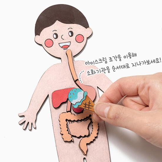 Artbox/Claypia 186 Minhwa Shop Interesting Human Body Map